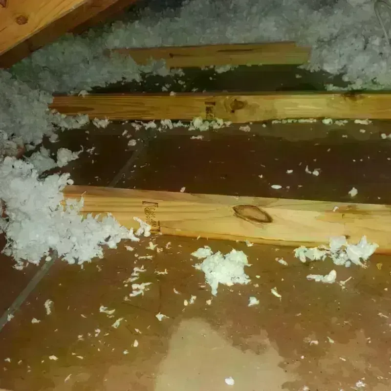 Attic Water Damage in Seven Trees, CA