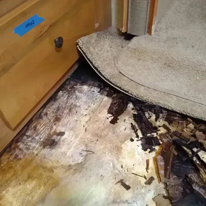 Wood Floor Water Damage in Seven Trees, CA